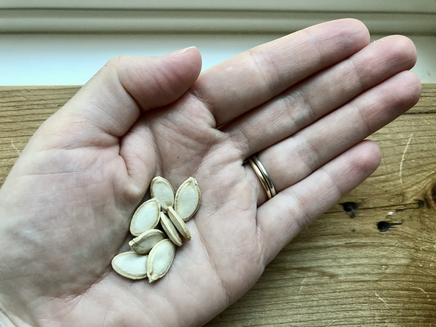 How to Properly Dry Zucchini Seeds GreenThumbsGuide