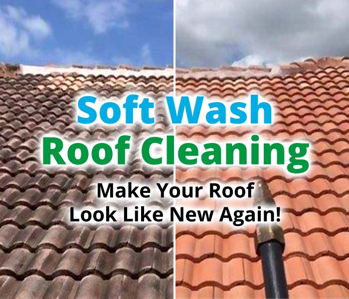 Tampa FL Roof Cleaning, Soft Wash Pressure Washing Services Company