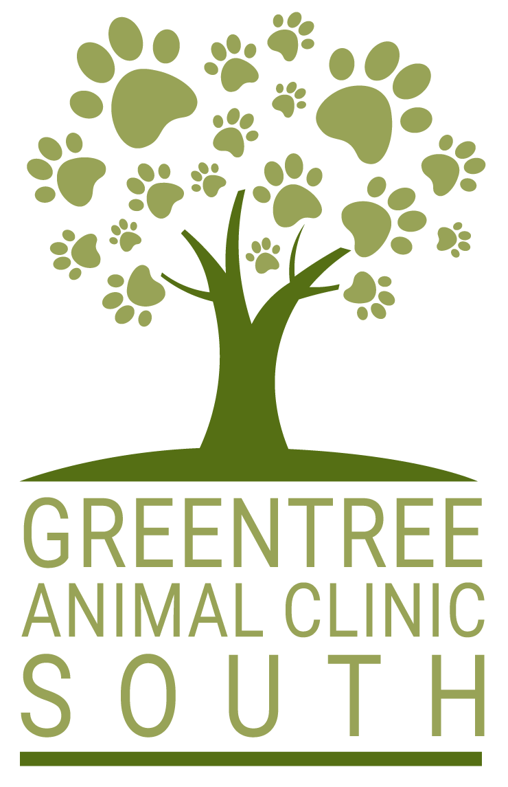greentree animal clinic south starting a new life