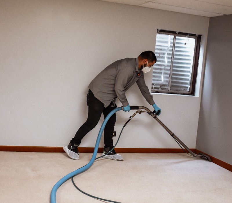 Services Green T Services