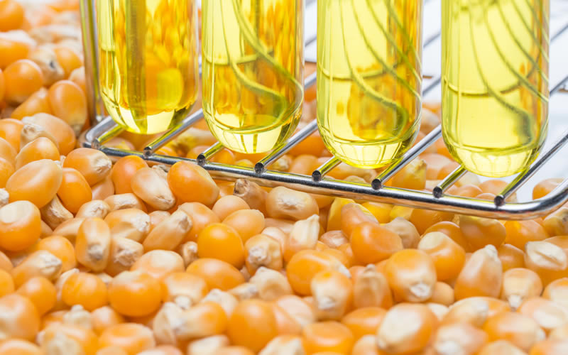 How Does Biofuel Work? Greentumble