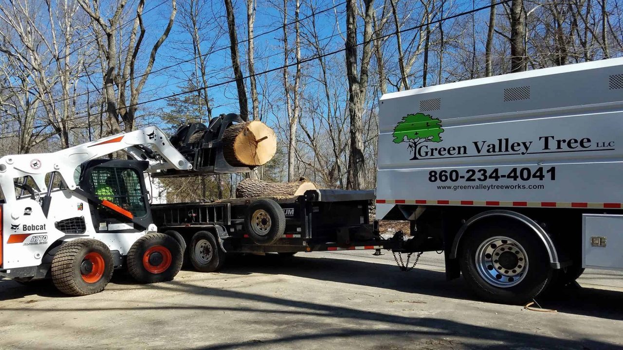 Arborist Services Green Valley Tree, LLC