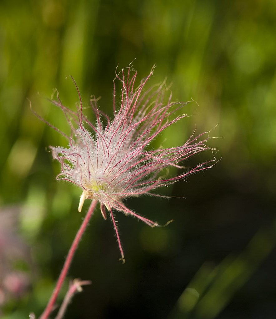 Gallery Black Hills Real Estate Greenview Estates, South Dakota