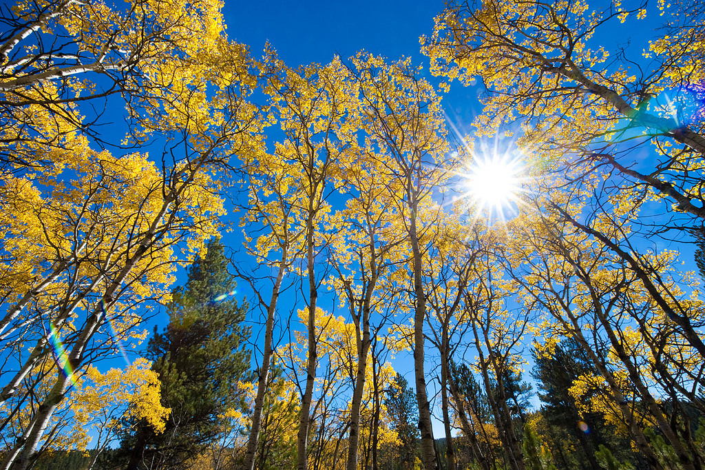 Gallery Black Hills Real Estate Greenview Estates, South Dakota