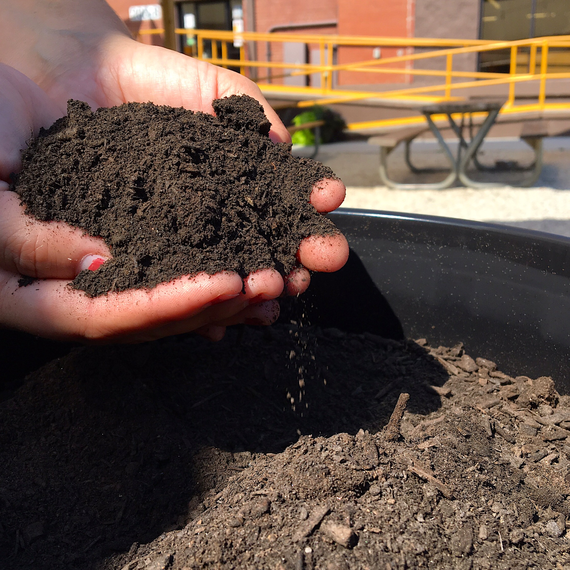 COMPOST HOUSE COMES TO GREENVILLE Greenville360