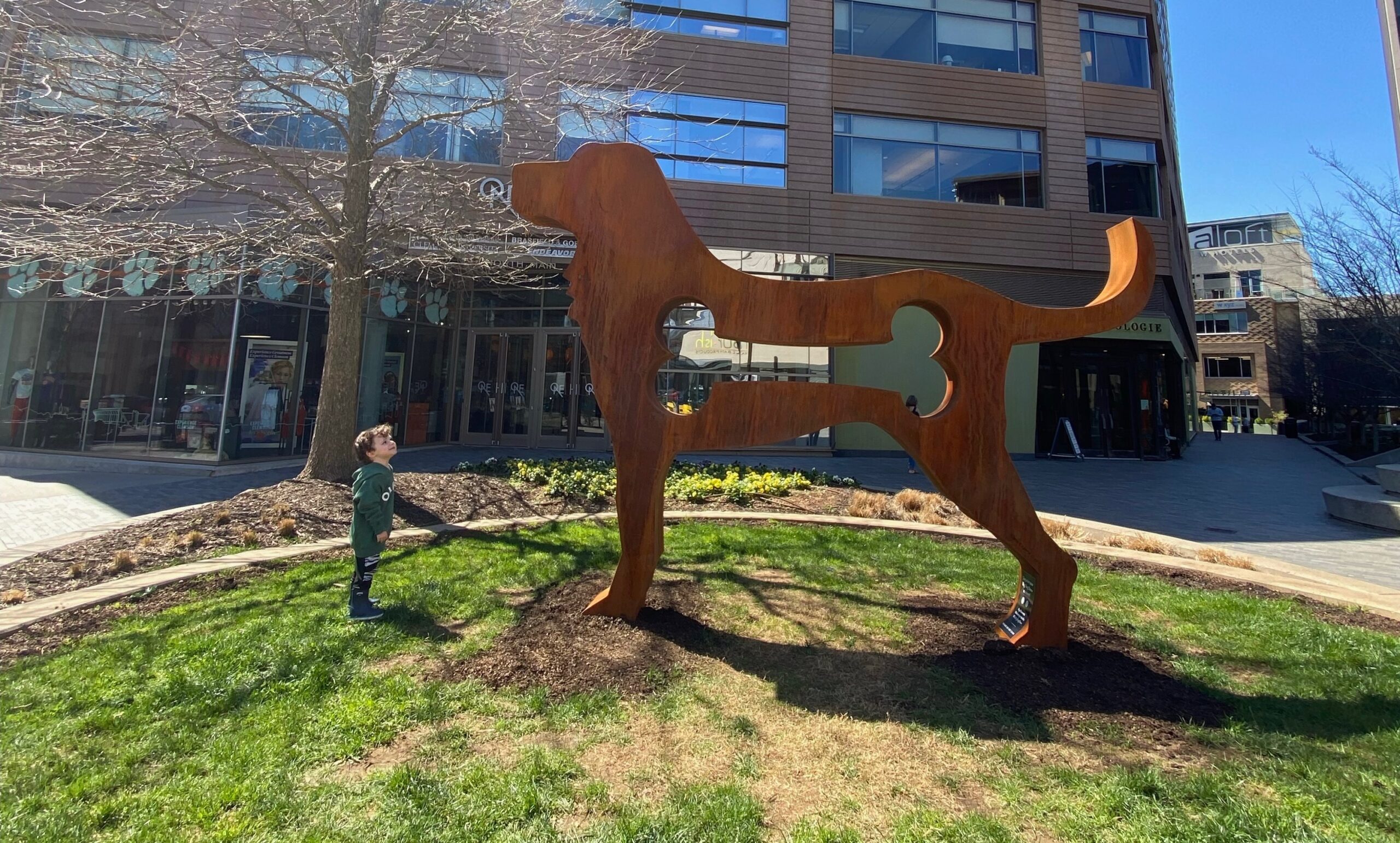 THE BIG DOG SHOW COMES TO GVL Greenville360