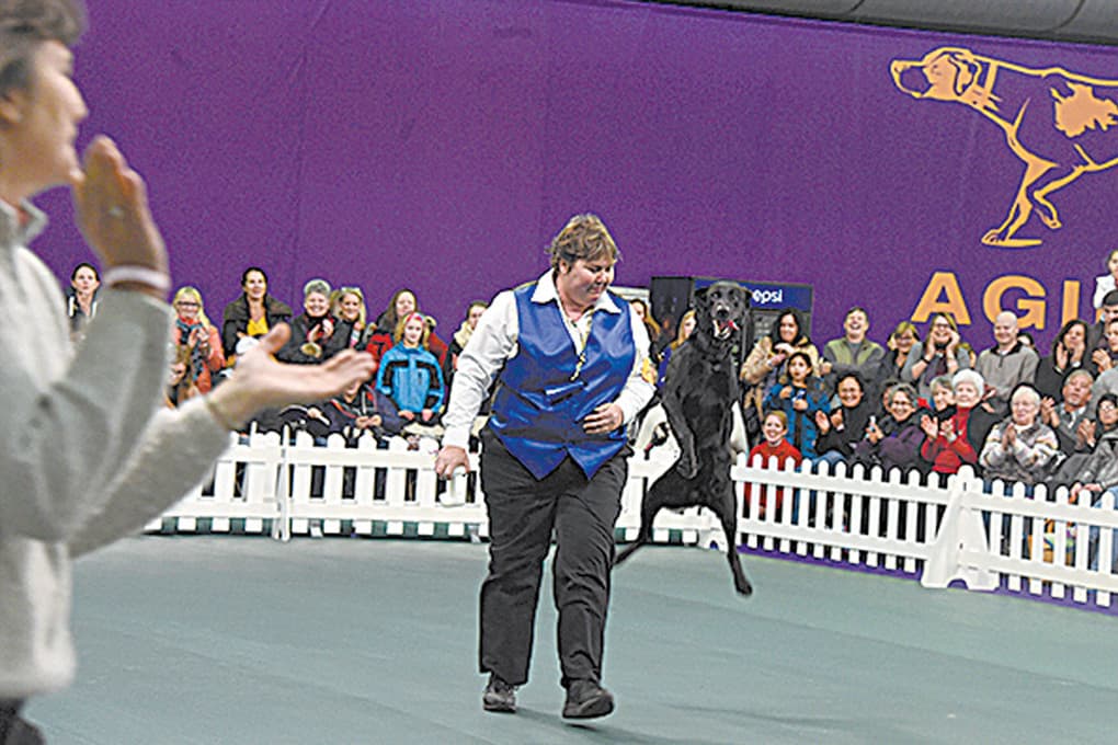 Local dog trainer places at Westminster competition GREENVILLE JOURNAL