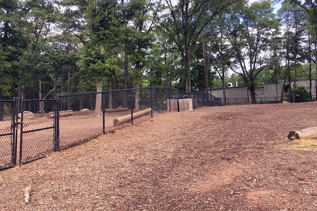 Paws and recreation your guide to Greenville’s dog parks GREENVILLE