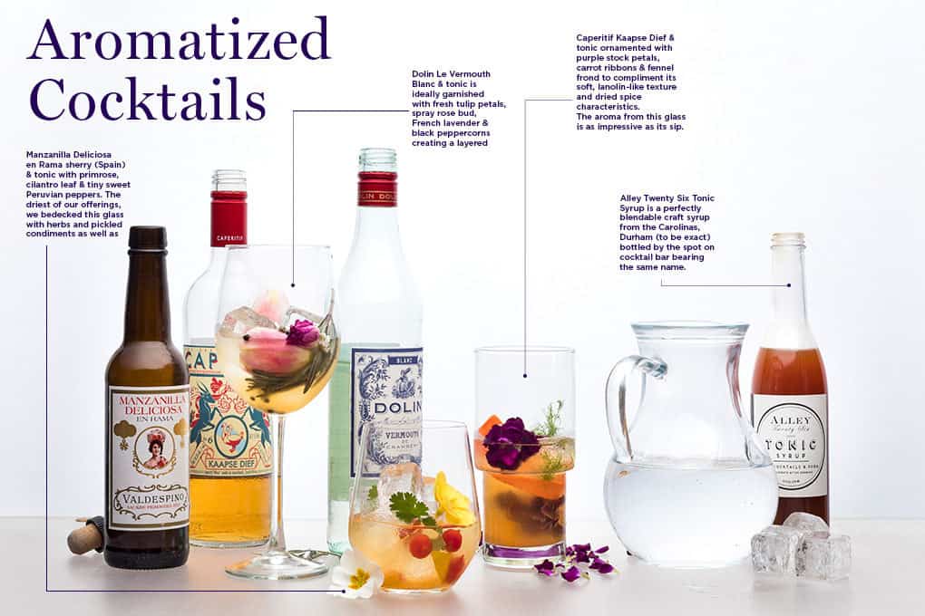 Easy Dolin Blanc Cocktails Simple and Delicious Recipes