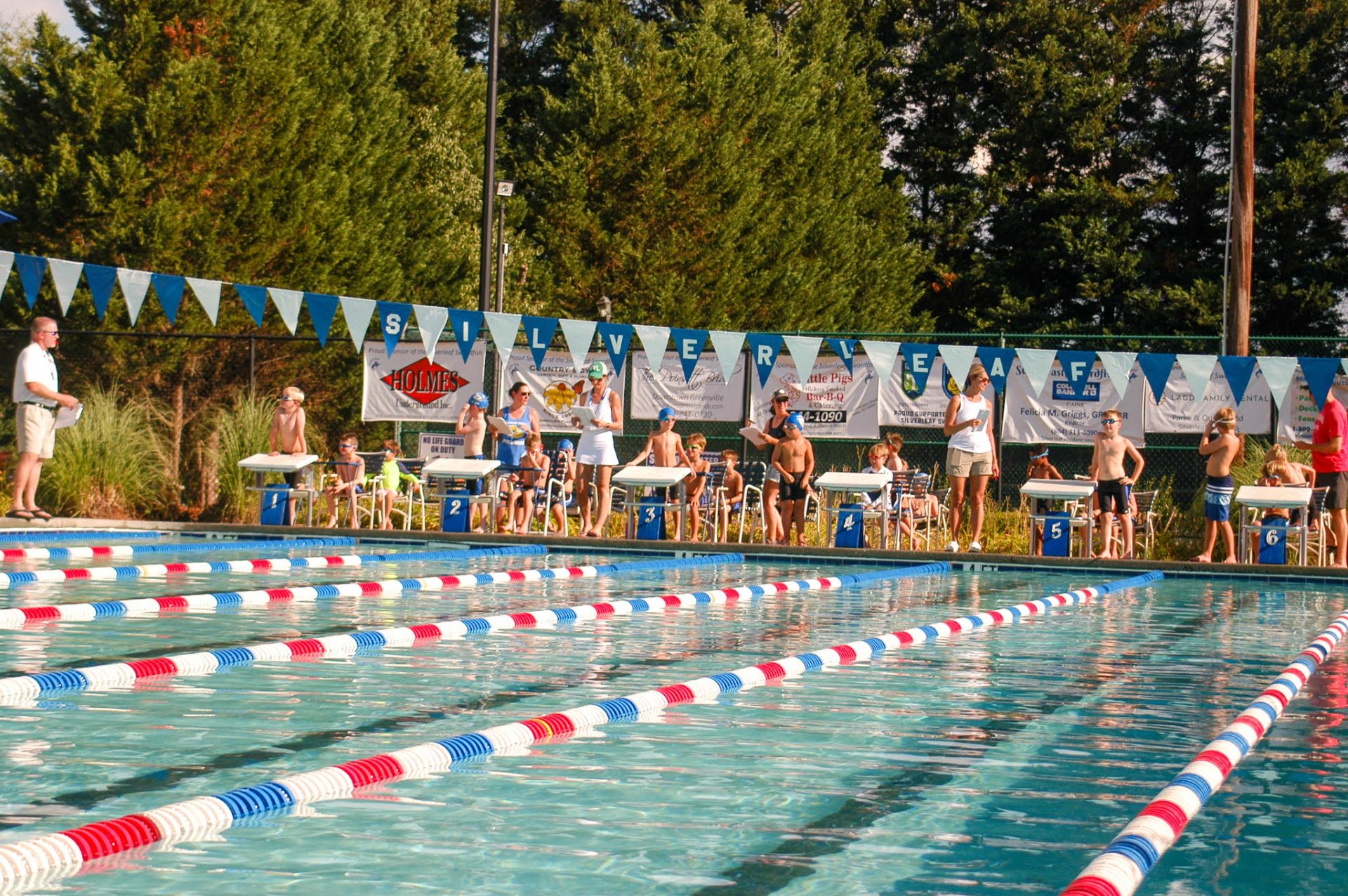 Pelham Falls Silverleaf GREENVILLE JOURNAL