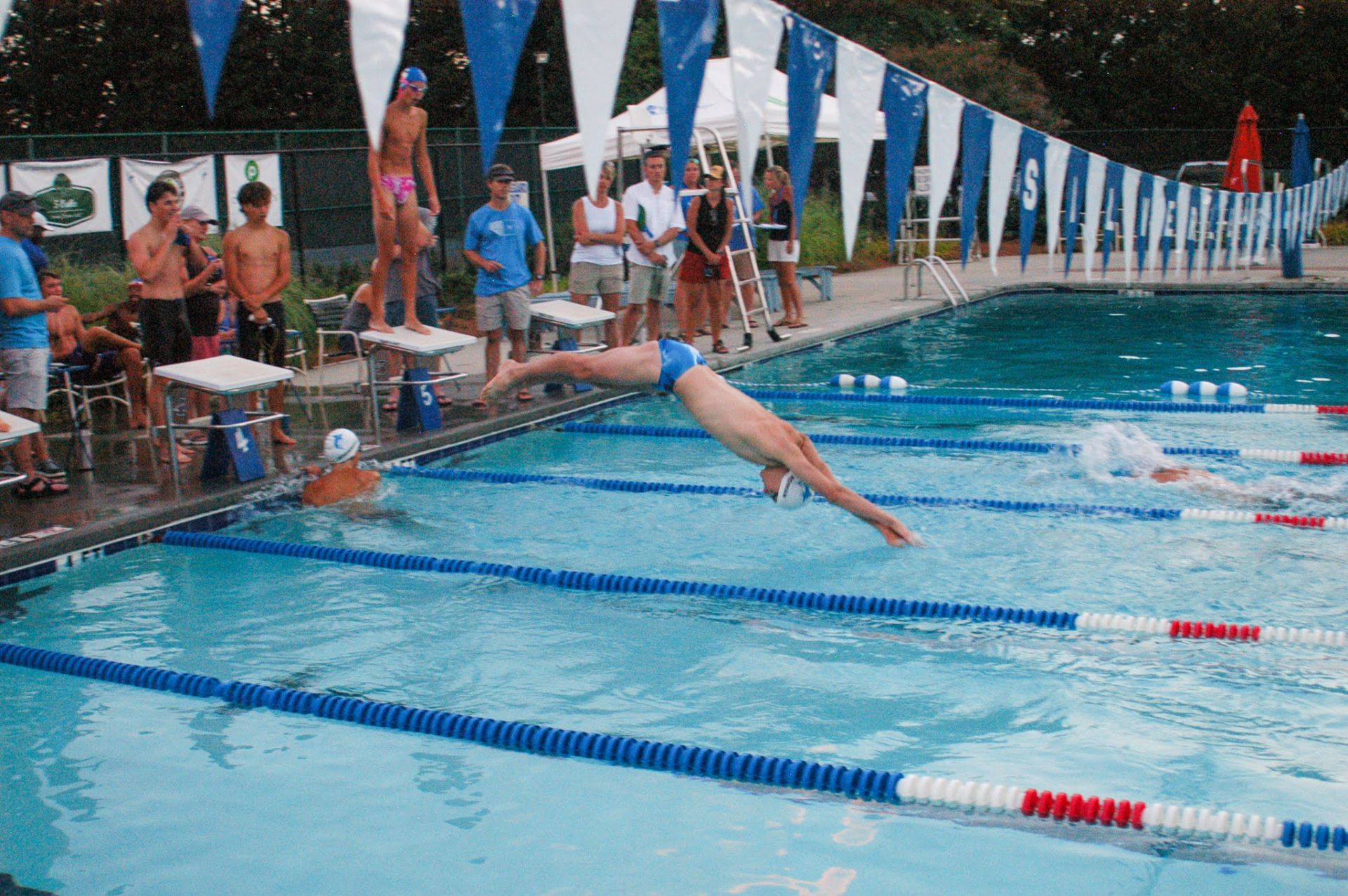 Pelham Falls Silverleaf GREENVILLE JOURNAL