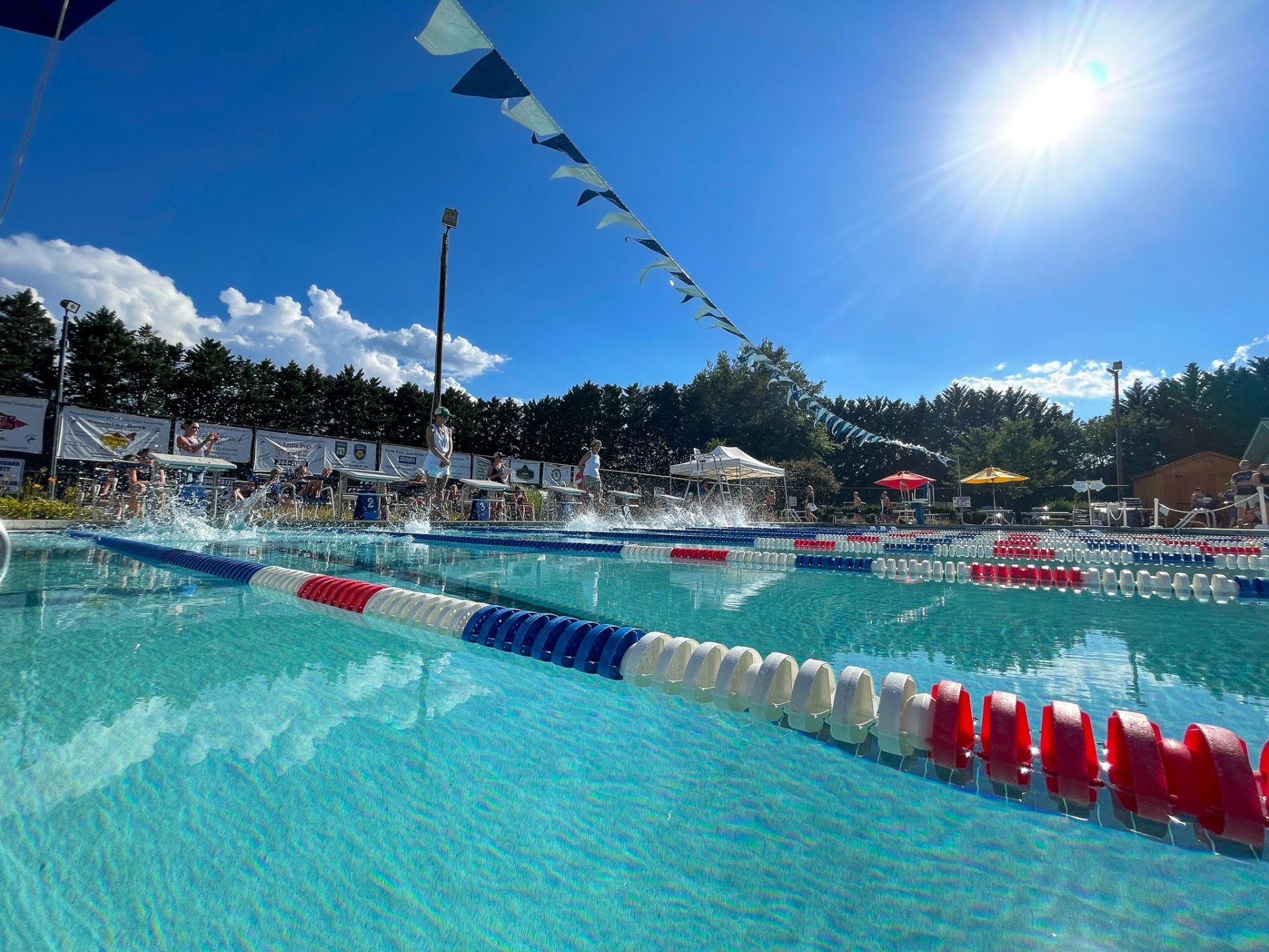 Pelham Falls Silverleaf GREENVILLE JOURNAL