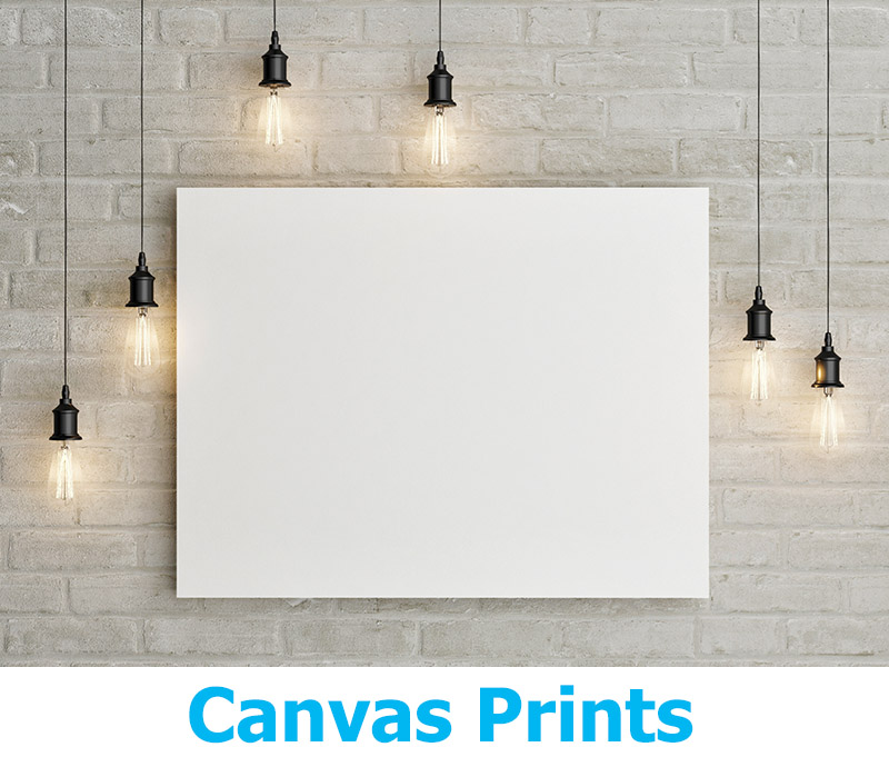 Signs in Greenville SC 1 Printing Company in the Upstate