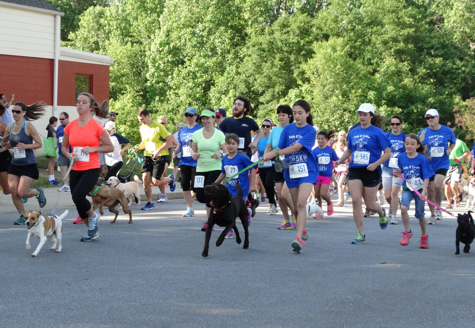 Tails & Trails 5K Walk/Run Greenville Rec