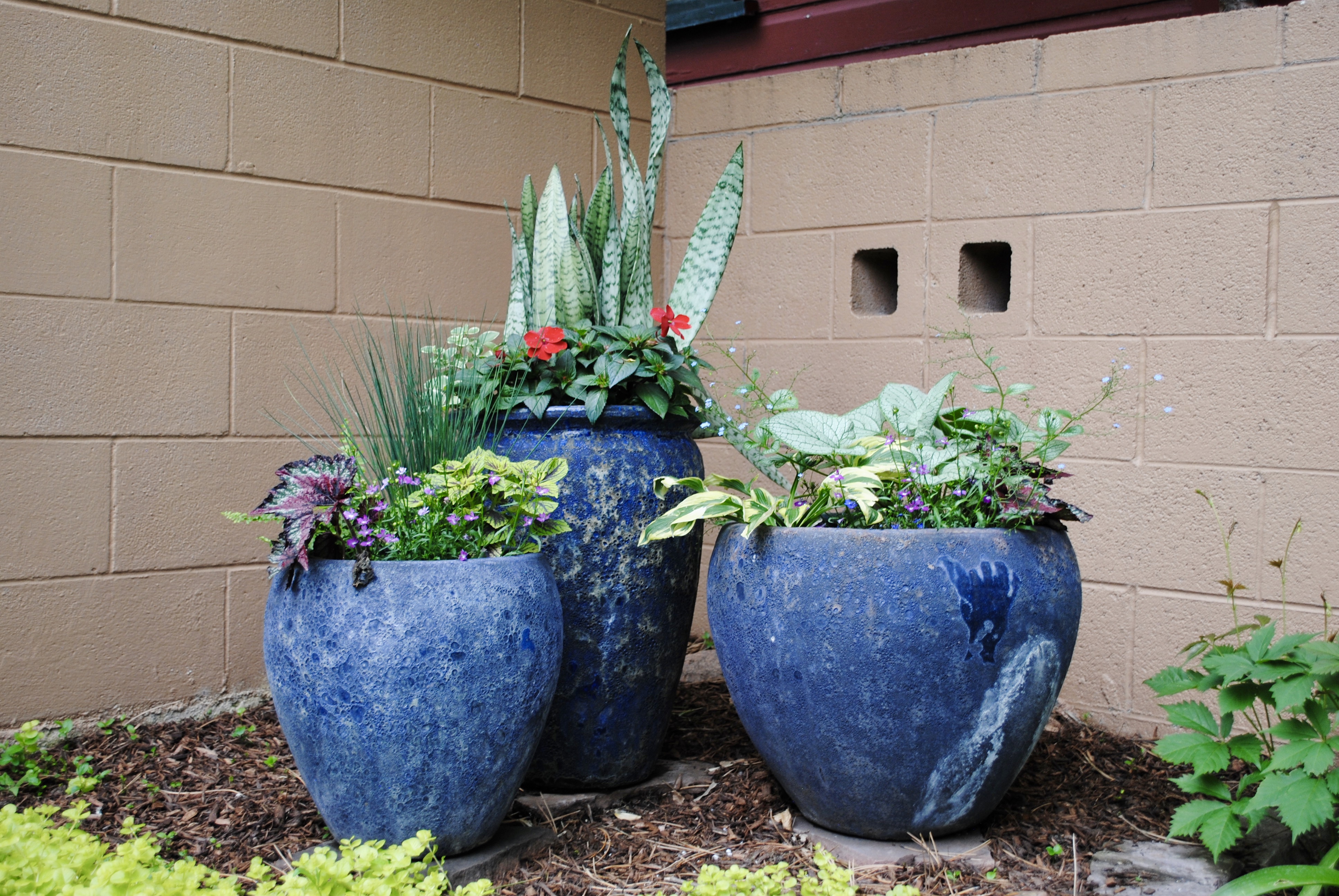 Container Gardening GreenWay Gardening