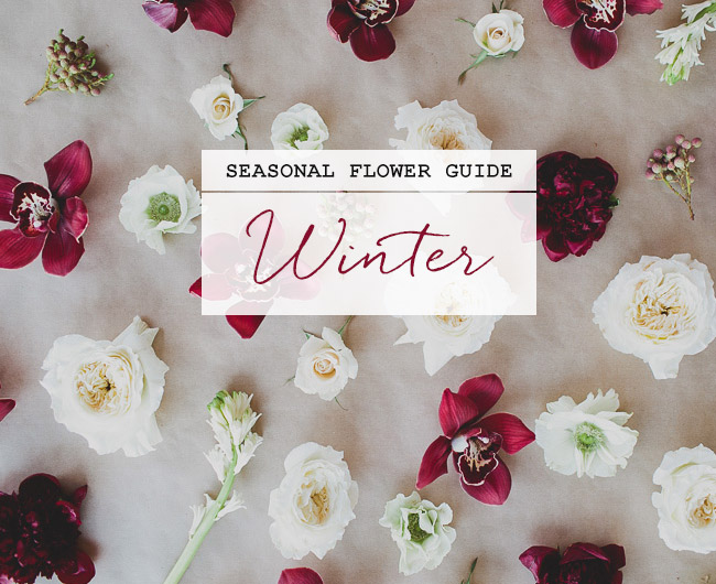 Seasonal Flower Guide Winter