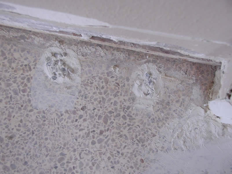 Floor Maintenance Company GreenWise Flooring Orlando