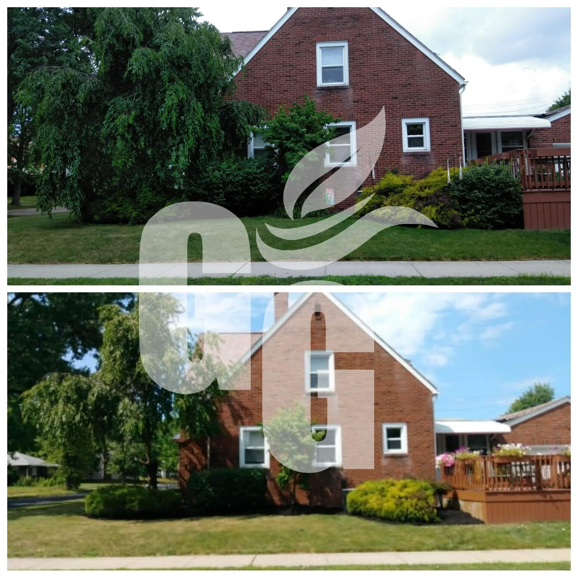 Transform Your Property with Our Property Cleanup Services