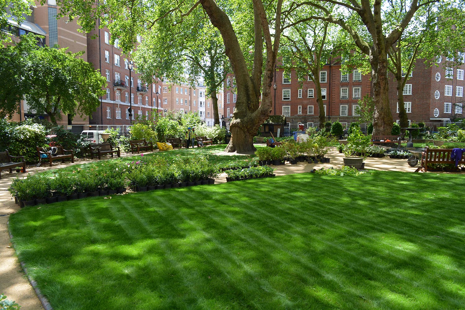 Ebury Square Gardens Greenwood Plants
