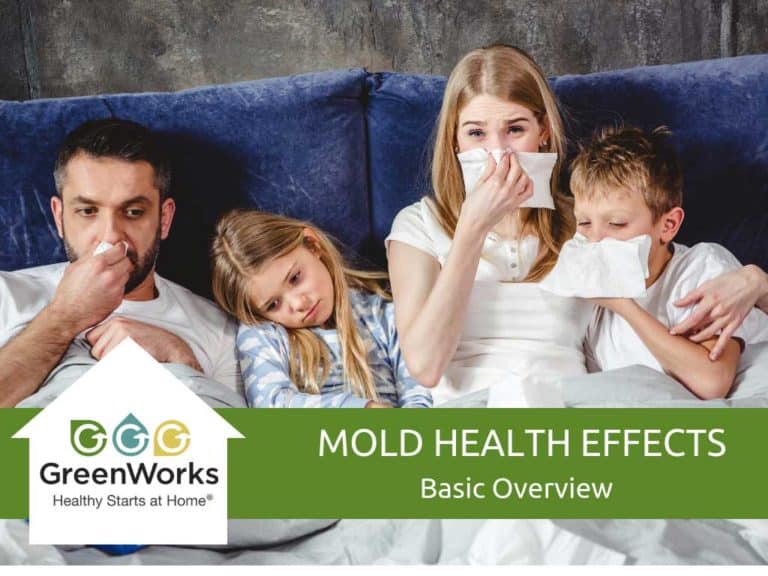 Basic Overview of Effects of Mold on our Health GreenWorks
