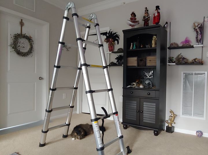 Best Gardening Ladders Green Yard Magazine