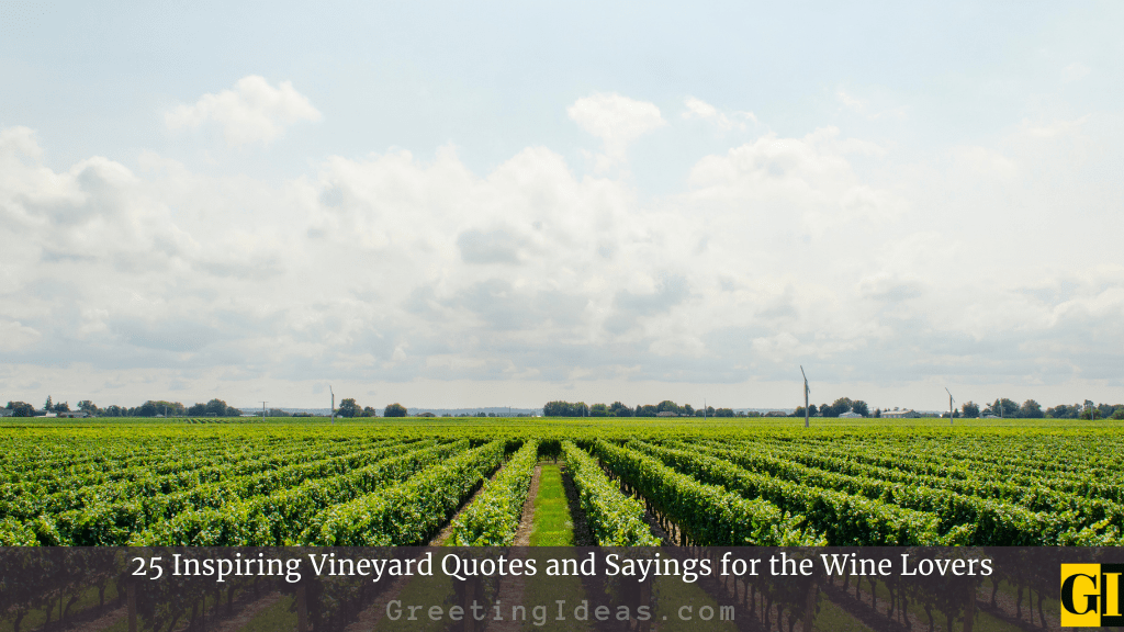 25 Inspiring Vineyard Quotes and Sayings for the Wine Lovers