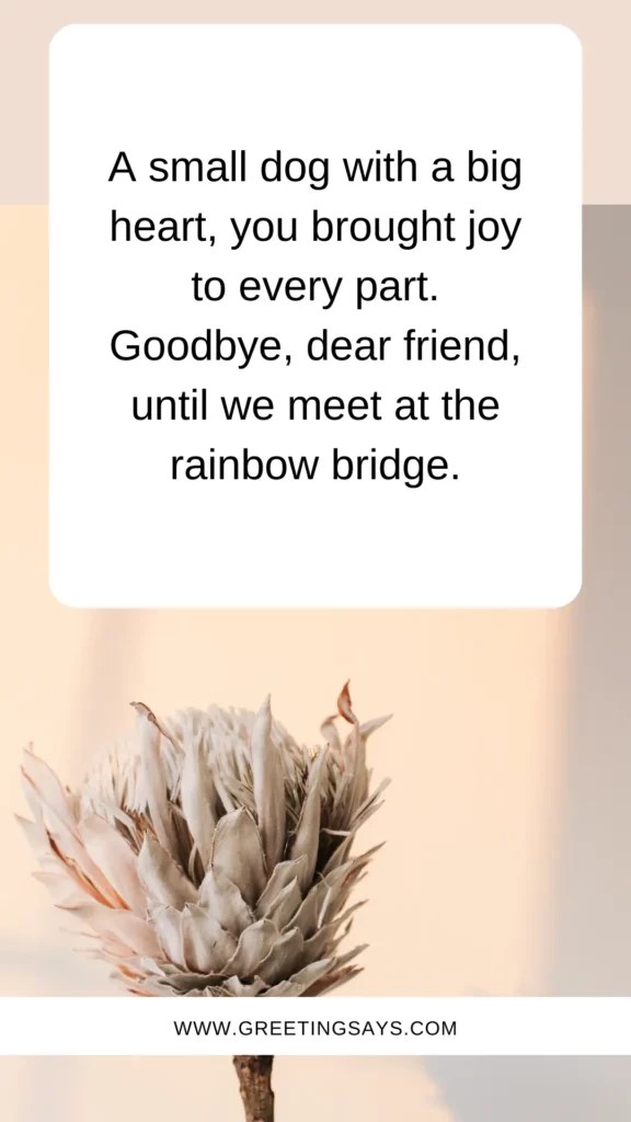 Goodbye Message to My Dog Quotes Greeting Says