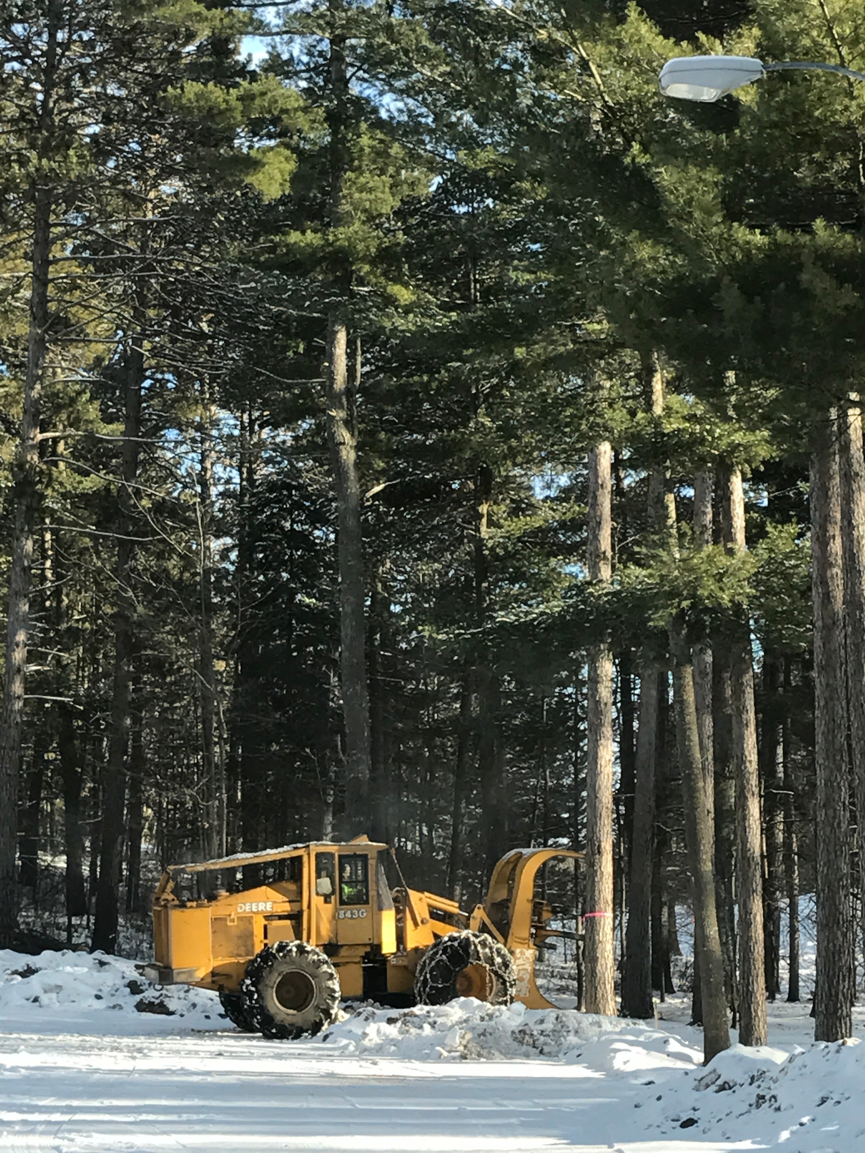 Tree Removal Grand Rapids Evangelical Free Church Grand Rapids