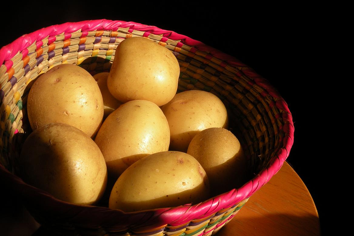 Growing potatoes in Southern California Greg Alder's