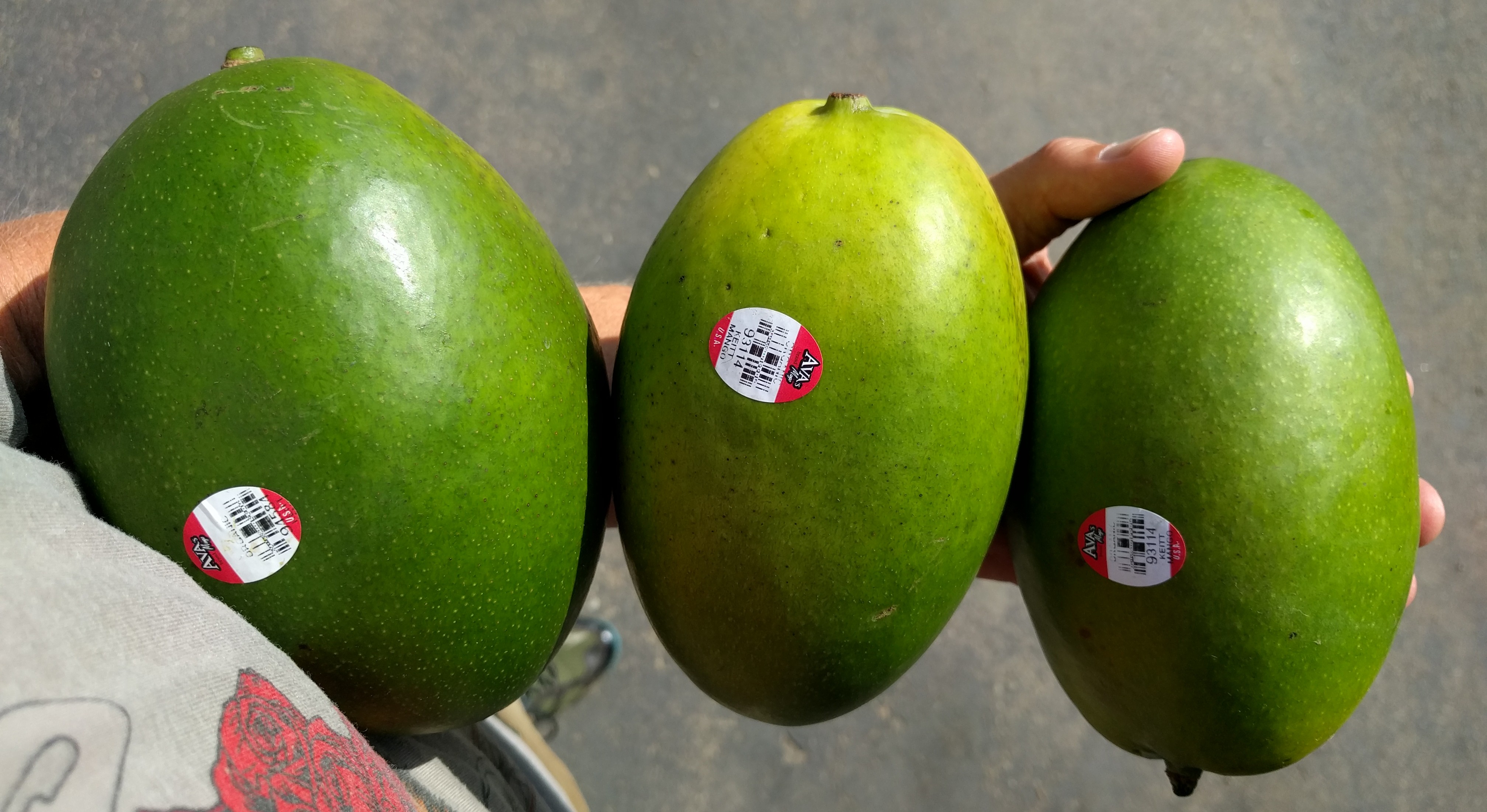 Californiagrown mangos Greg Alder's Yard Posts Southern California food gardening