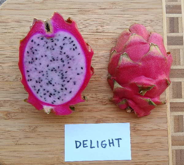 Growing dragon fruit in Southern California Greg Alder's Yard Posts Southern California food