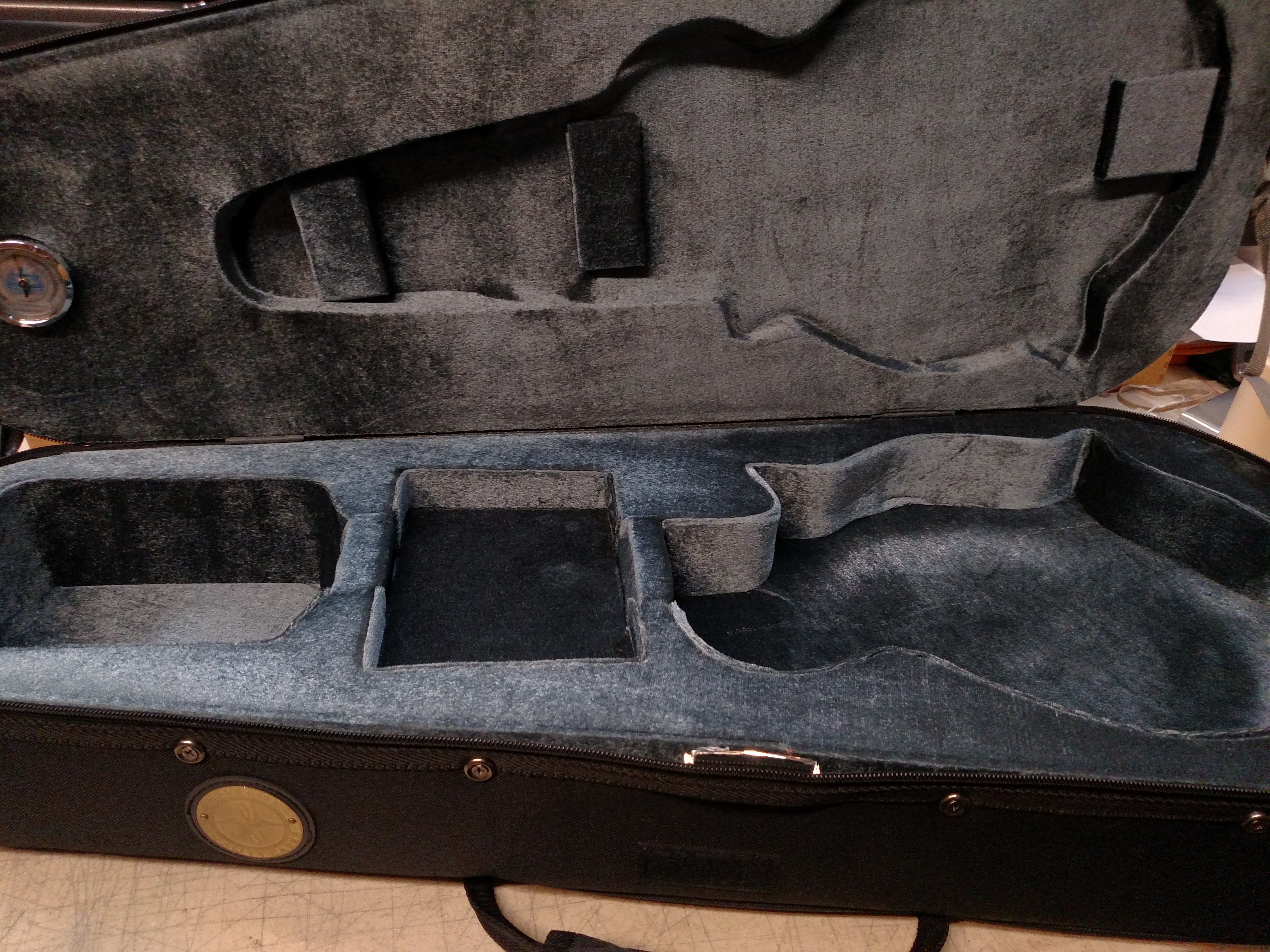 Travelite Case for A or FStyle Mandolin