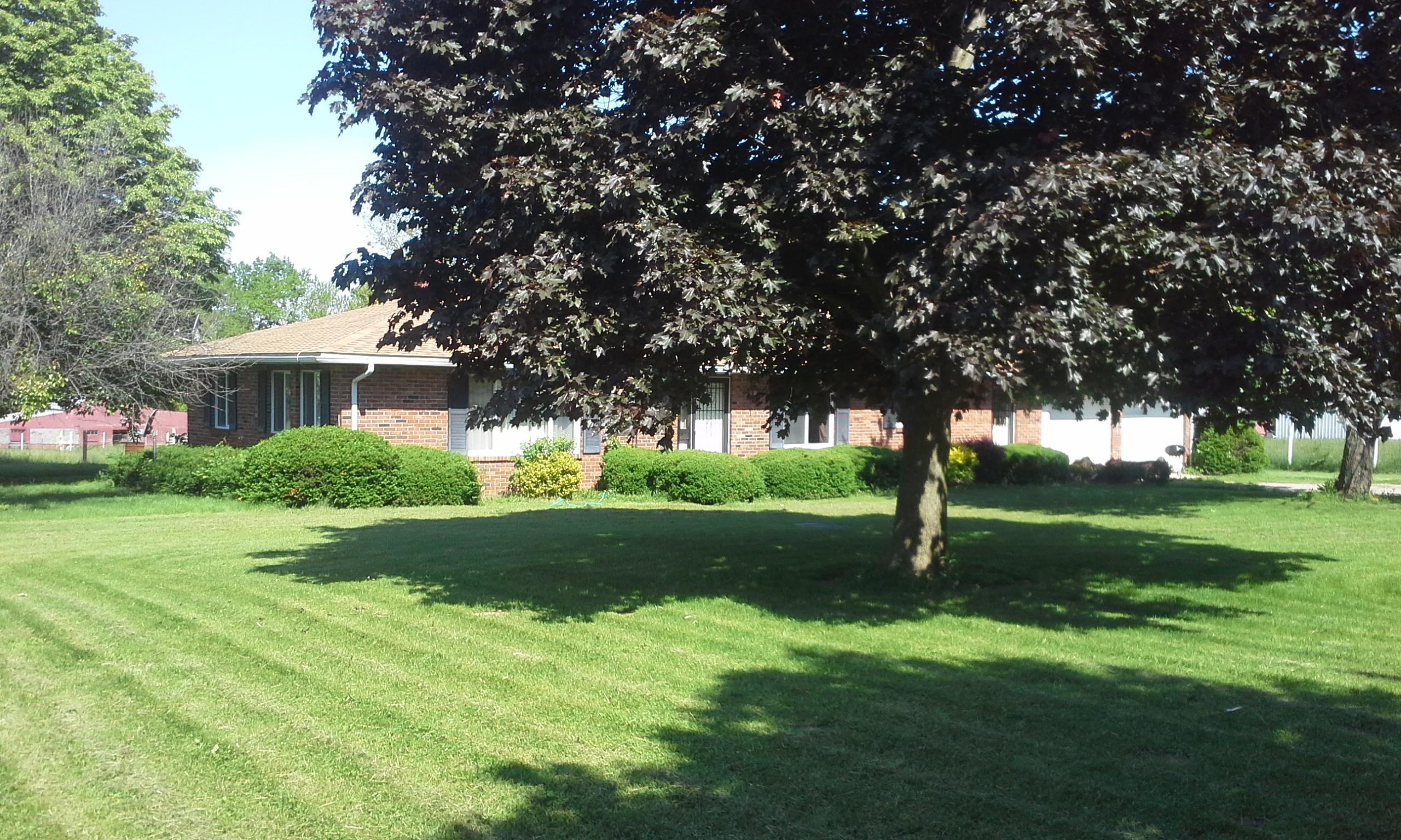 3920 Xavier Rd, Attica Greg Clingan Auctions