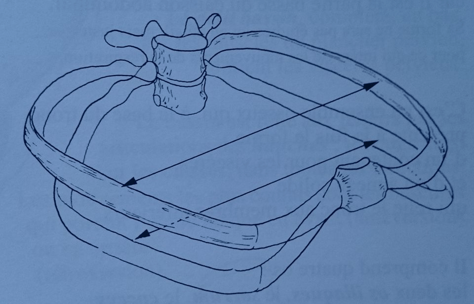100 Days of Franklin Week 8 Breath
