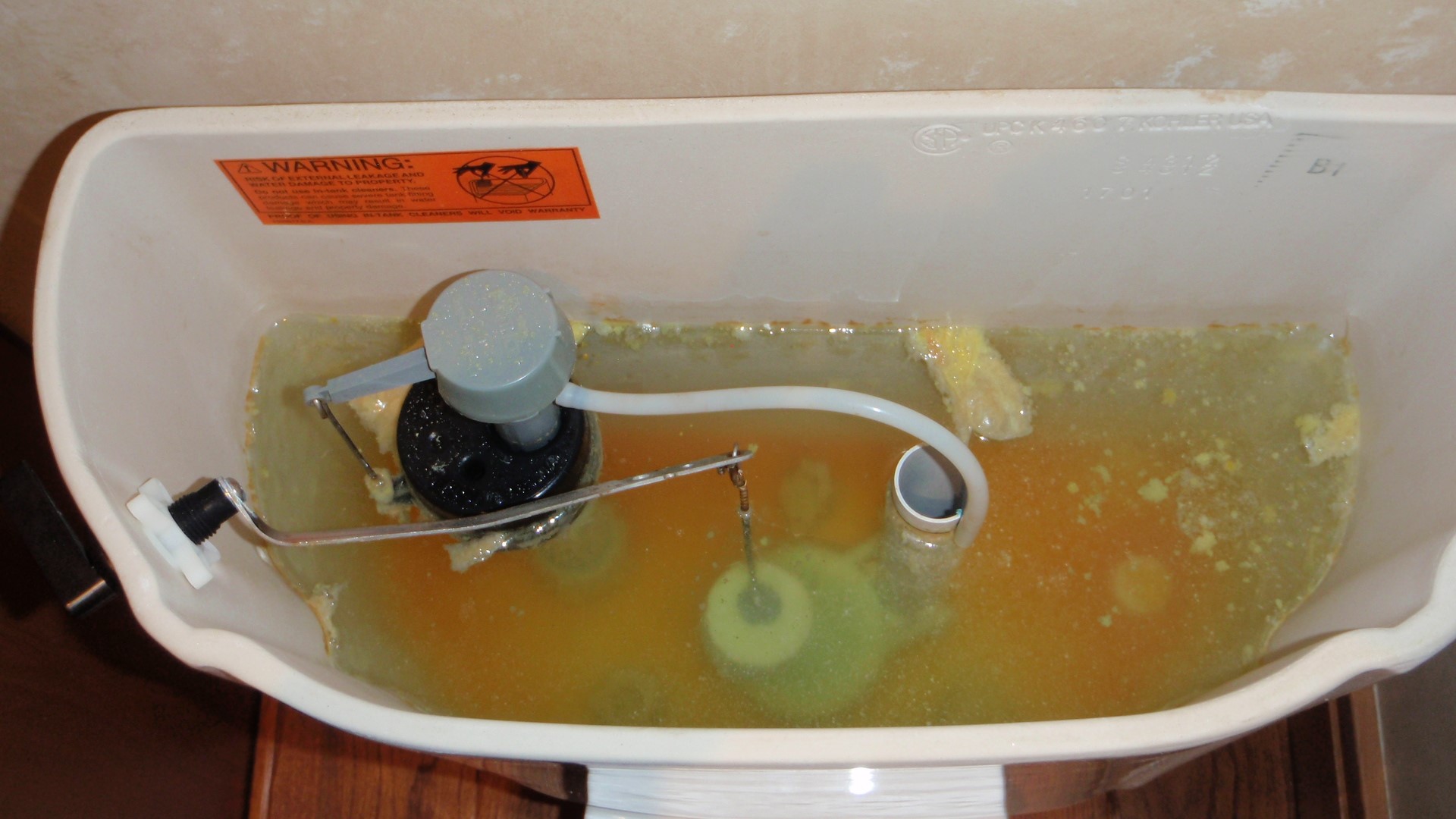 Bacteria and Virus Greg Reyneke