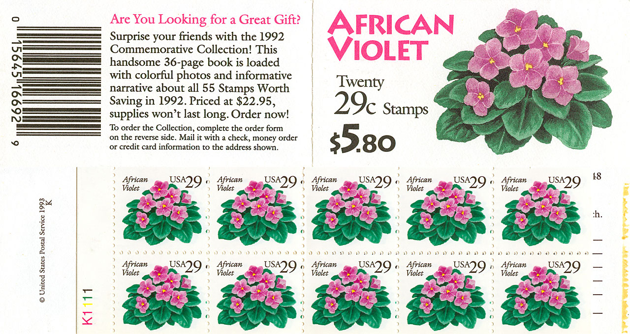 African Violet WAG B/20