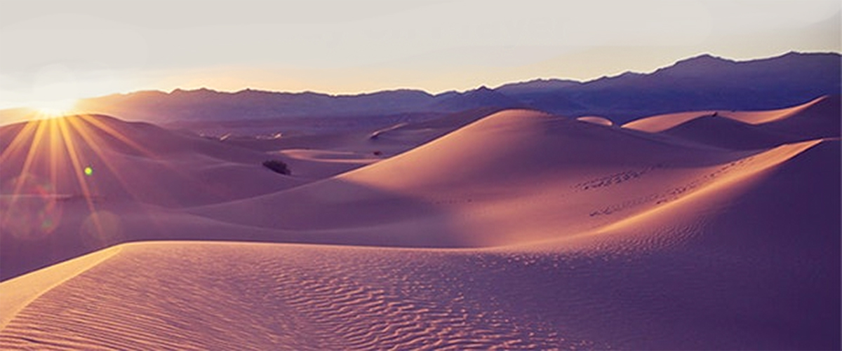 February Reflection Michael McFarland SJ Gregorian University