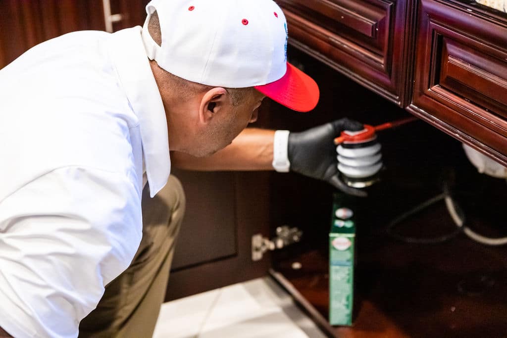 The best ant exterminators near me YouTube