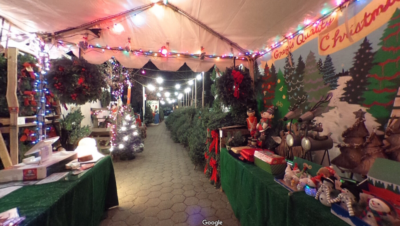 Christmas Trees Greenpoint/ Williamsburg McCarren Park Greg's Trees