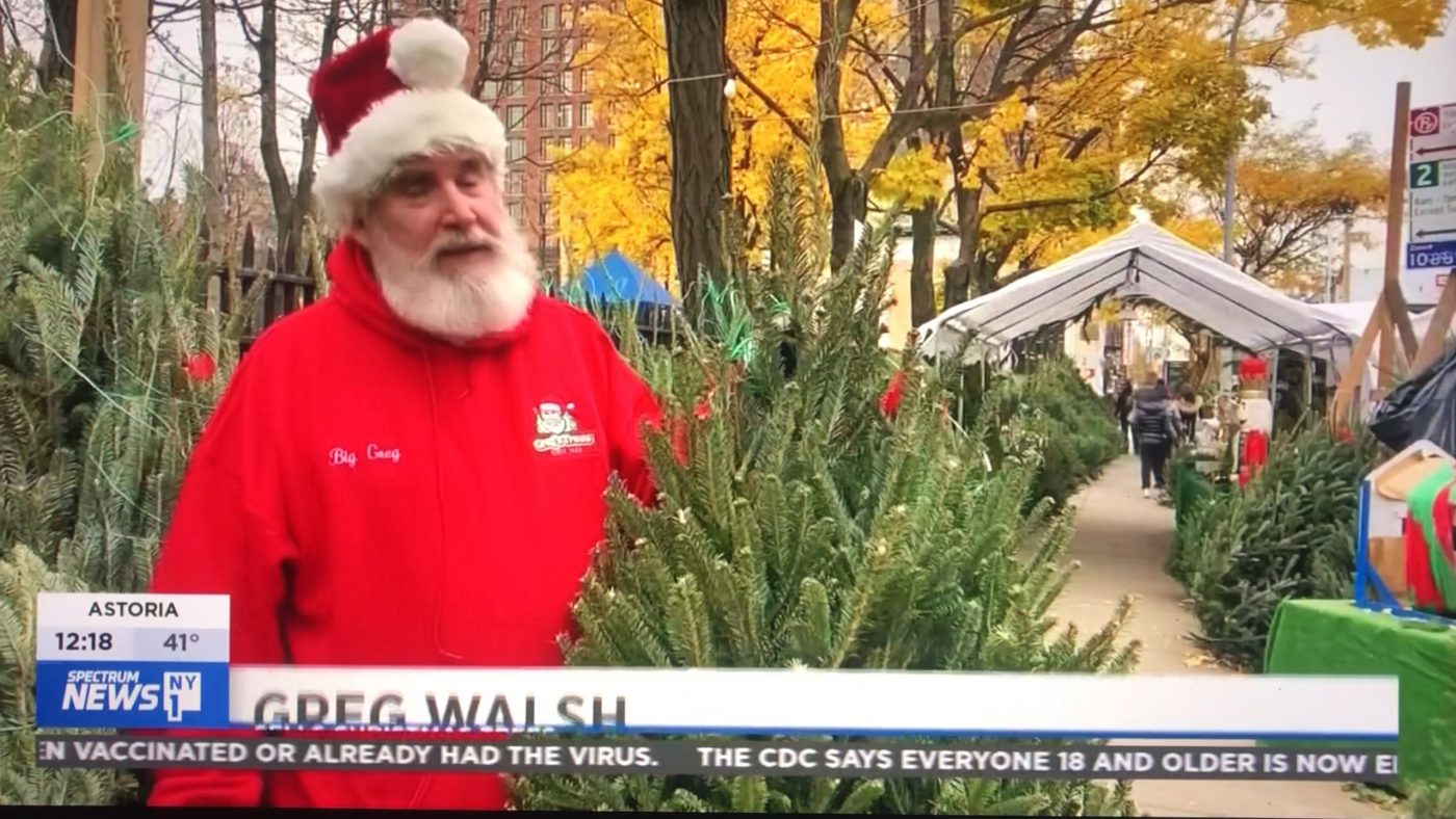 Greg’s Trees on Spectrum New York 1 News Greg's Tree