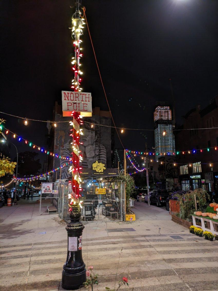 Christmas Trees Greenpoint/ Williamsburg McCarren Park Greg's Trees