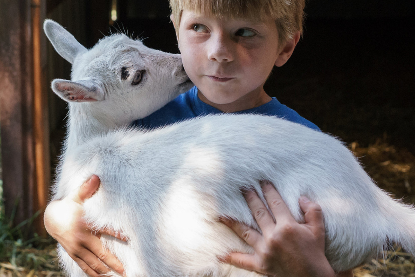 Corwith’s Farmstand Greg Baker