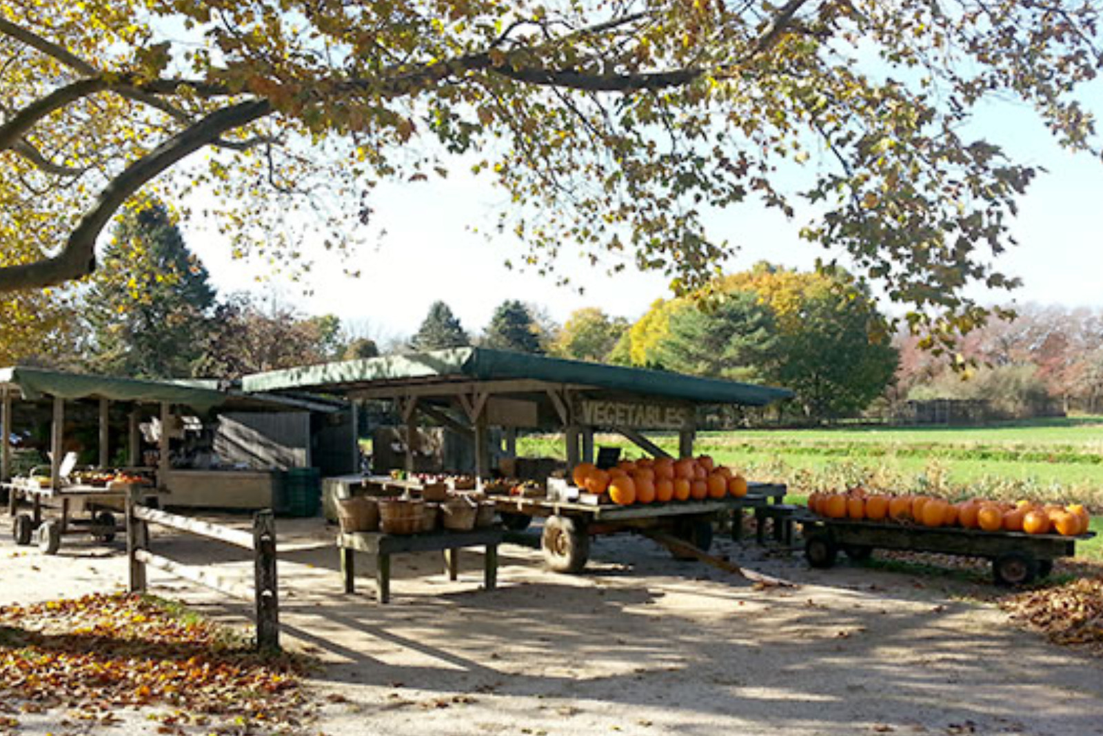 Pike Farms Greg Baker