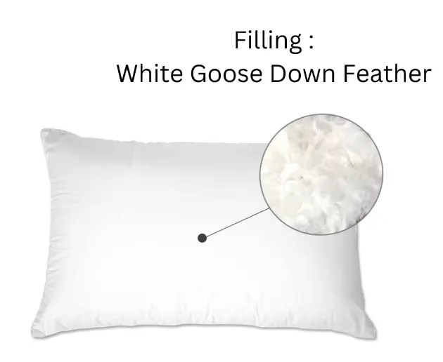 Feather Pillows