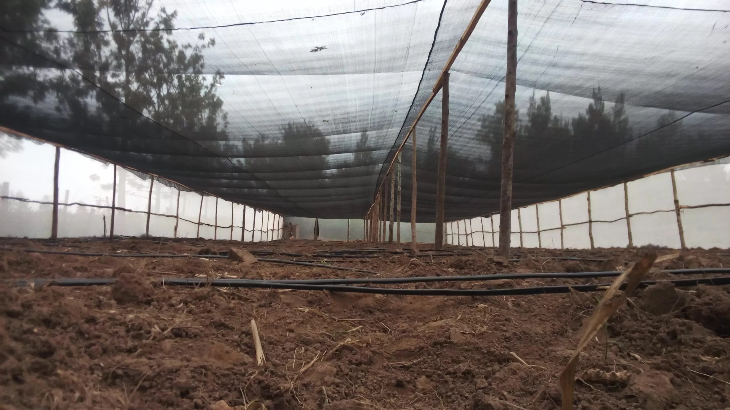 Shade Nets Grekkon Limited