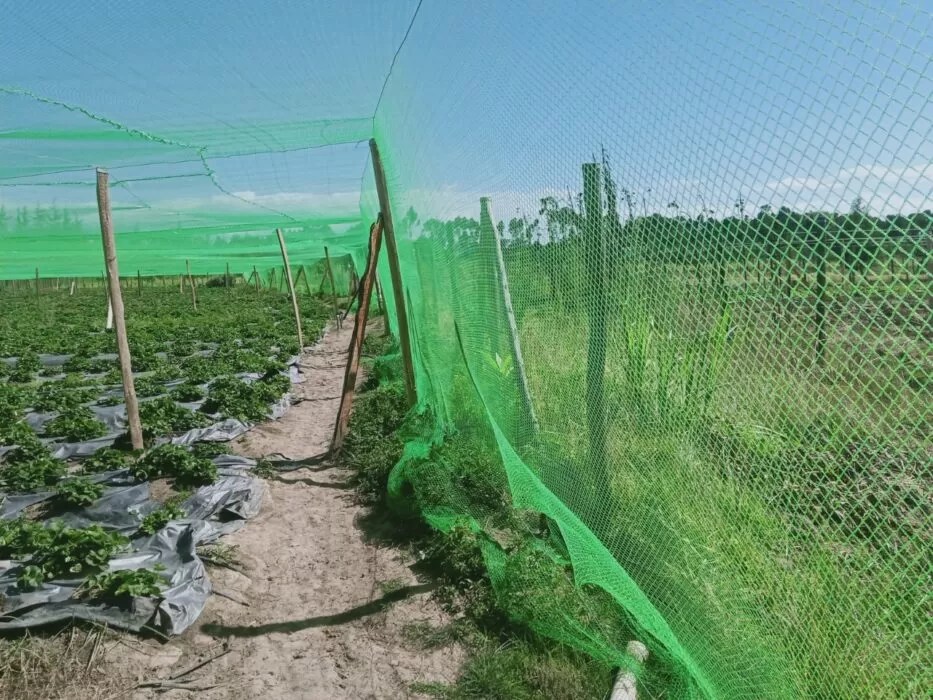 Agricultural Nets Grekkon Irrigation Systems