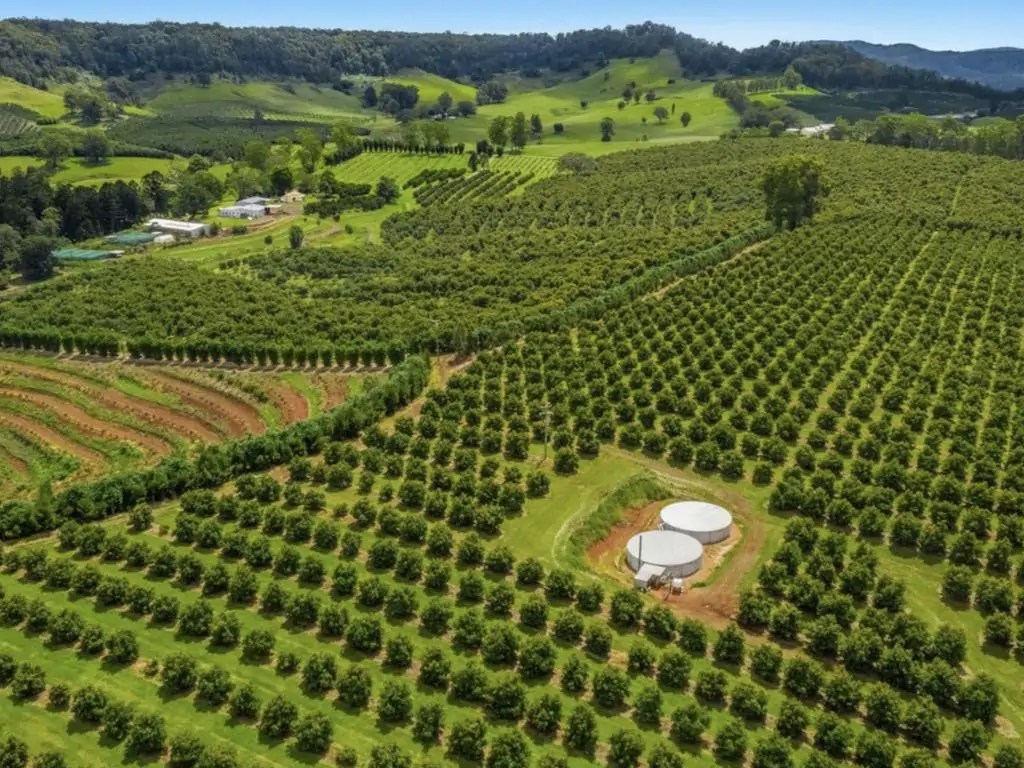 How To Farm Avocado In Kenya by Grekkon Ltd. Call +254 715 157 132