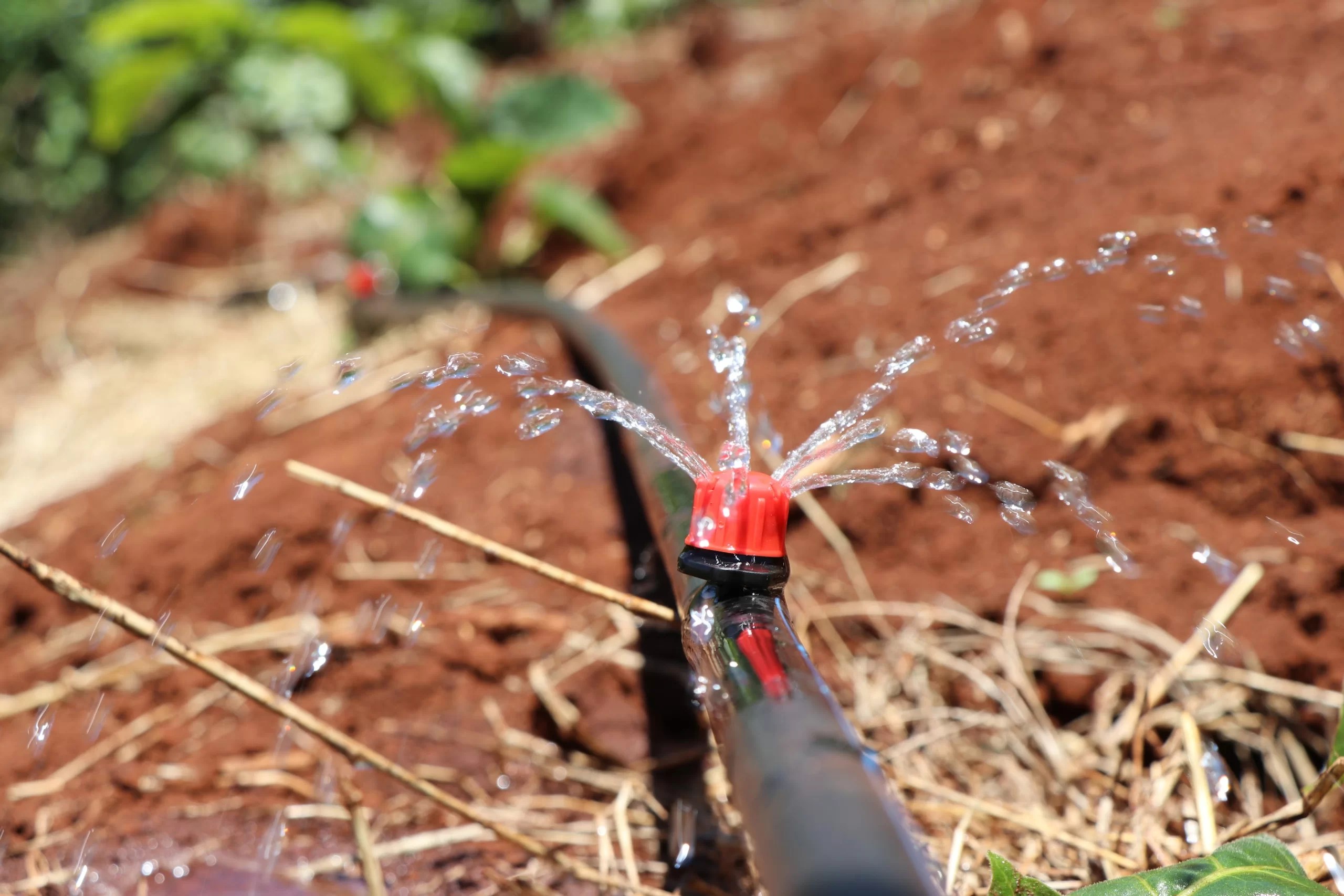 Coffee Irrigation Farming Requirements Grekkon Ltd. Call +254 715157132