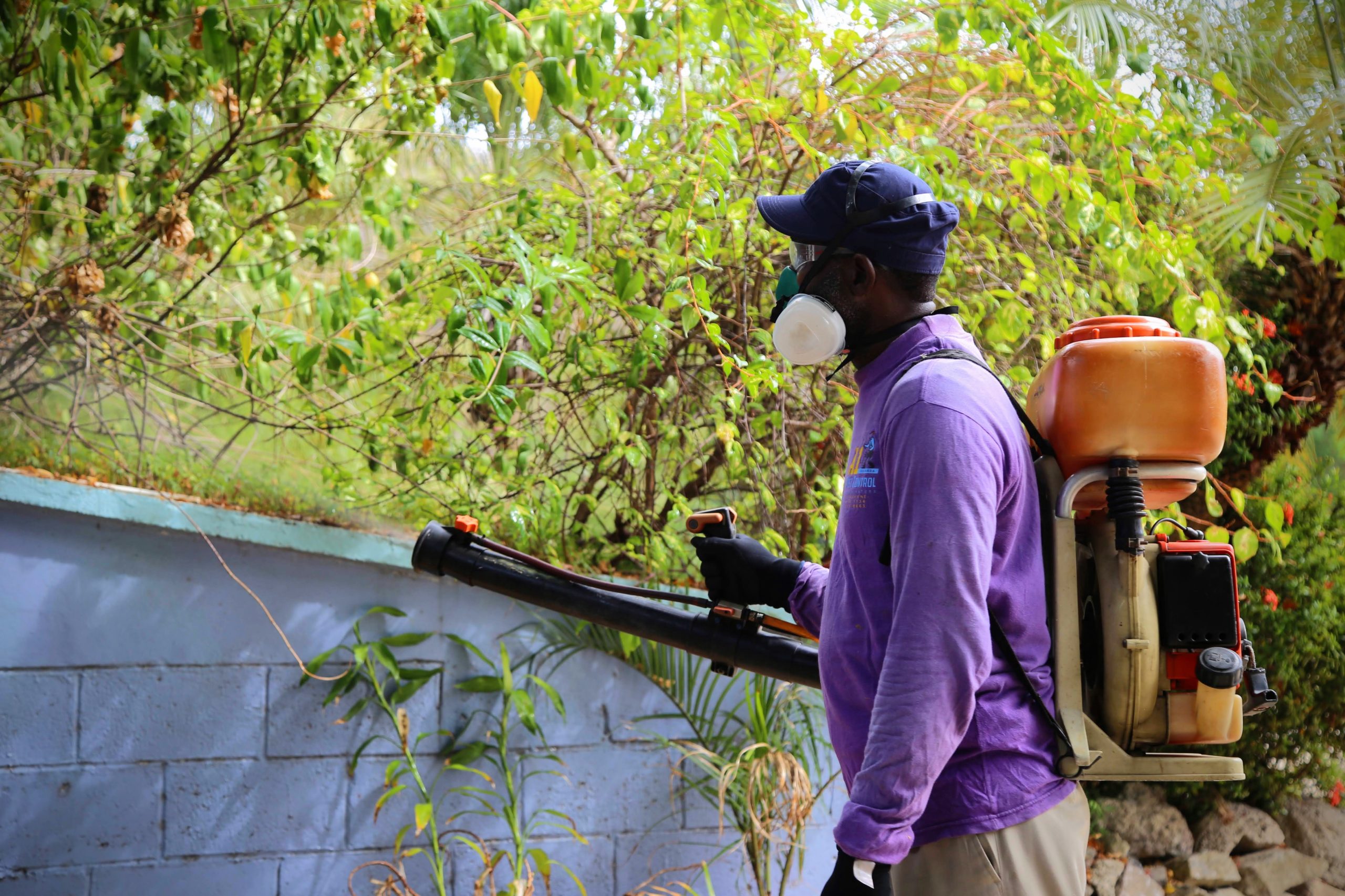 About Us A1 Pest Control