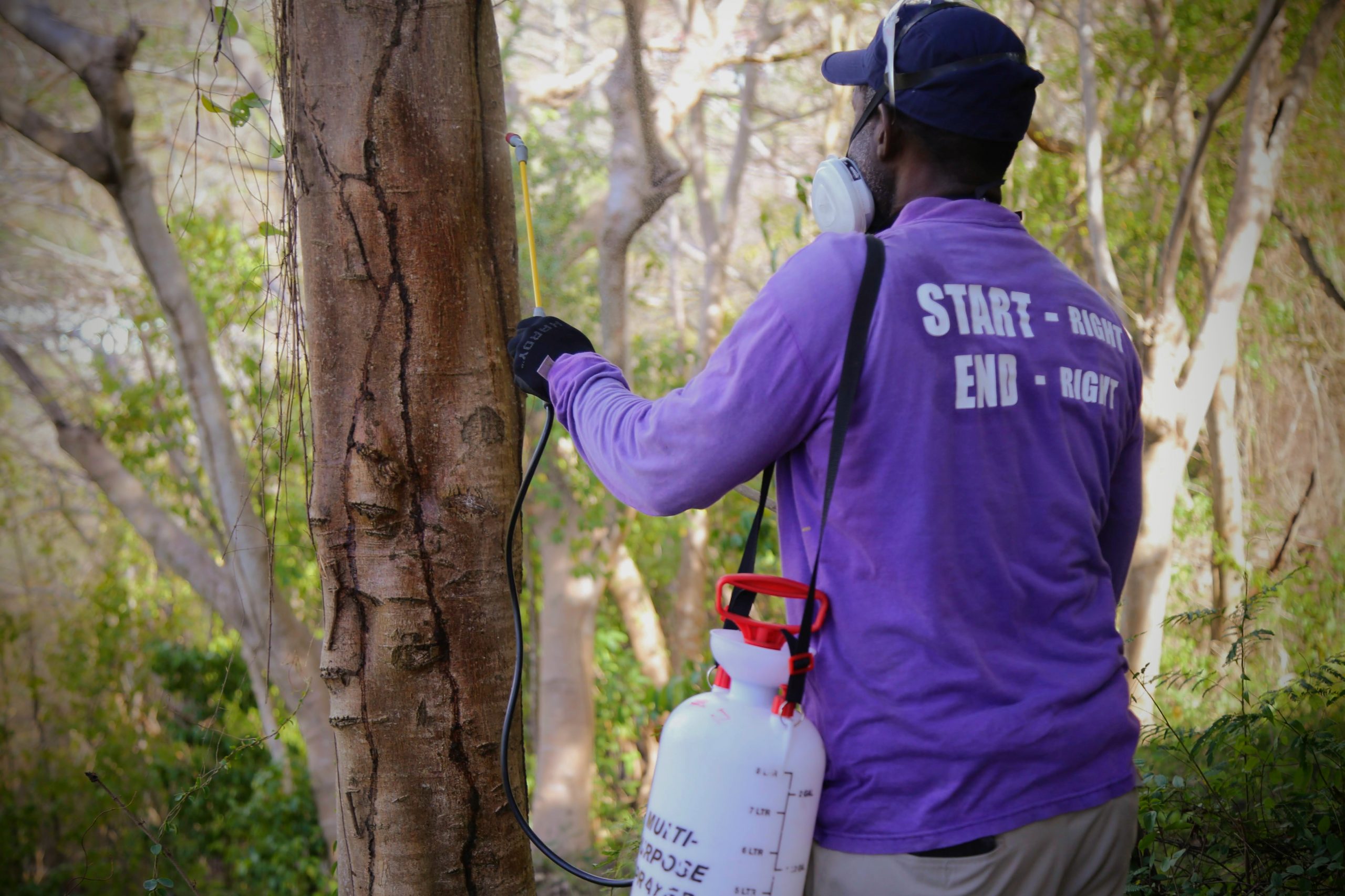 Residential Pest Control A1 Pest Control